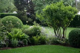 园林绿化爆料视频大全,揭秘美丽背后的秘密