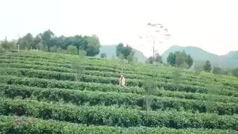 渔乐圈最新爆料消息今天 第1张 渔乐圈最新爆料消息今天 第1张